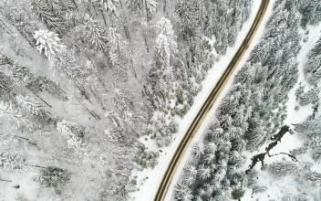 Stock Video Highway Crossing A Winter Forest Animated Wallpaper