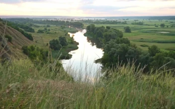 Stock Video High View Of A River Between Fields Animated Wallpaper