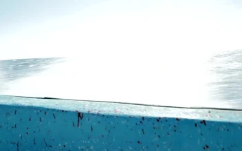 Stock Video High Speed Across The Ocean Animated Wallpaper
