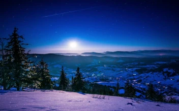 Stock Video High Point Of View In The Carpathian Mountains Animated Wallpaper