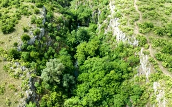 Stock Video Hidden Waterfalls Inside A Canyon Animated Wallpaper