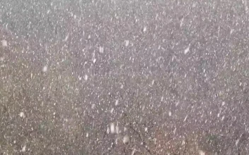 Stock Video Heavy Snow Falling Across The Landscape Animated Wallpaper