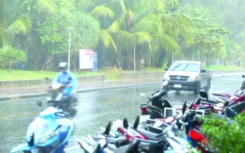 Stock Video Heavy Rain On The Road Animated Wallpaper