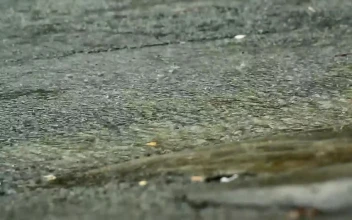Stock Video Heavy Rain On A Road Surface Animated Wallpaper
