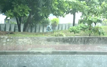 Stock Video Heavy Rain In The Street Sidewalk Animated Wallpaper