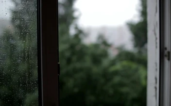 Stock Video Heavy Rain From An Open Window Animated Wallpaper