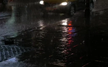 Stock Video Heavy Rain Falling On The Pavement Animated Wallpaper