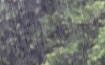Stock Video Heavy Rain Falling Animated Wallpaper