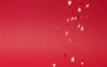 Stock Video Heart Shaped Candies Falling Animated Wallpaper