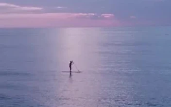 Stock Video Headline Instagram Story Animated Wallpaper