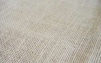 Stock Video Hazelnuts Falling Into The Shot Slow Motion Animated Wallpaper
