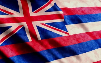 Stock Video Hawaii State Flag Waving Animated Wallpaper