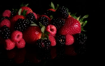 Stock Video Harvest Berries Animated Wallpaper