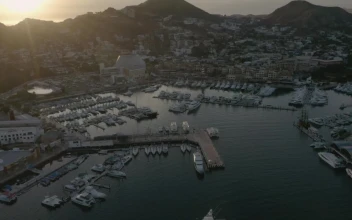 Stock Video Harbor On A Tourist Coast With Many Boats And Yachts Animated Wallpaper