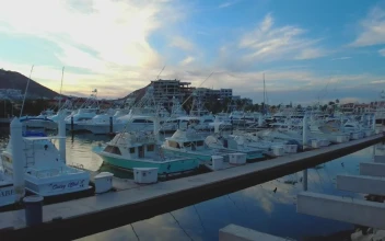 Stock Video Harbor Full Of Boats And Sailboats On A Paradisiacal Coast Animated Wallpaper