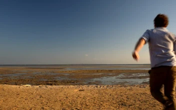 Stock Video Happy Man Running At Low Tide Animated Wallpaper
