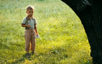 Stock Video Happy Little Child On The Park Grass Animated Wallpaper