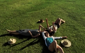Stock Video Happy Friends Looking To The Sky In The Meadow Animated Wallpaper