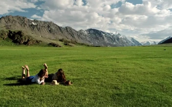 Stock Video Happy Female Friends Talking On Nature Animated Wallpaper