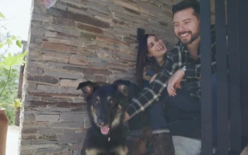 Stock Video Happy Couple Petting Their Dog Animated Wallpaper