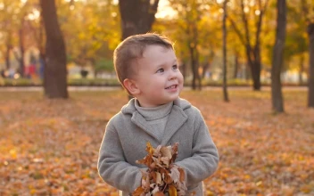 Stock Video Happy Child Playing With Autumnal Leaves Animated Wallpaper