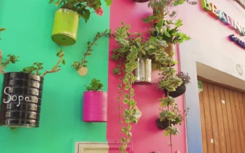 Stock Video Hanging Flowerpots In The Facade Animated Wallpaper