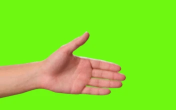 Stock Video Hands Of Two People Shaking Hands On A Green Background Animated Wallpaper
