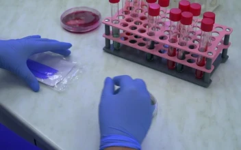 Stock Video Hands Of Person Working In A Laboratory Animated Wallpaper