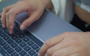 Stock Video Hands Of A Woman Typing On A Laptop 4266 Animated Wallpaper