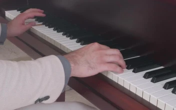 Stock Video Hands Of A Skillful And Elegant Pianist Playing Animated Wallpaper