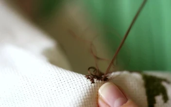 Stock Video Hands Knitting Close Up Animated Wallpaper