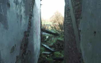 Stock Video Landscape Surrounding An Abandoned House Animated Wallpaper