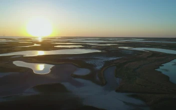 Stock Video Landscape Of An Area With Lagoons At Sunrise Animated Wallpaper