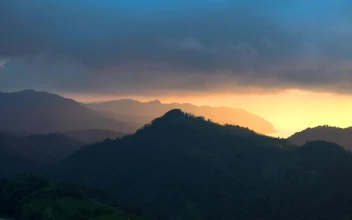 Stock Video Landscape Of A Sunrise In The Mountain Forest Animated Wallpaper
