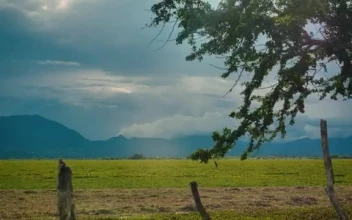 Stock Video Landscape Of A Large Open Field On A Sunny Afternoon Smal Animated Wallpaper