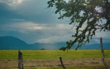 Stock Video Landscape Of A Large Open Field On A Sunny Afternoon Animated Wallpaper
