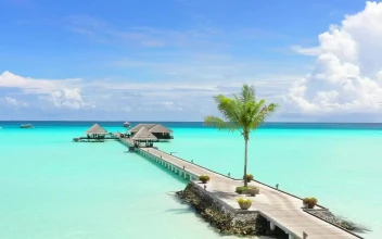 Stock Video Landscape Of A Dock In Clear Waters Animated Wallpaper