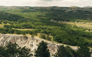 Stock Video Landscape Of A Forest And Rocky Mountains Animated Wallpaper
