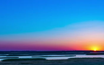 Stock Video Landscape At Sunrise Near A River Animated Wallpaper