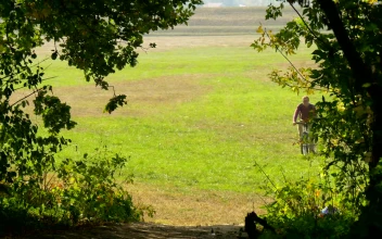 Stock Video Man In His Bicycle Entering The Woods Animated Wallpaper