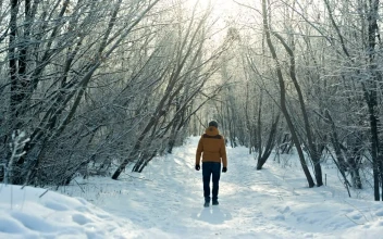 Stock Video Man In A Snowy Forest Greets The Camera Animated Wallpaper