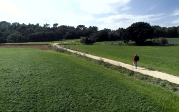 Stock Video Man Hiking On A Rural Path Animated Wallpaper