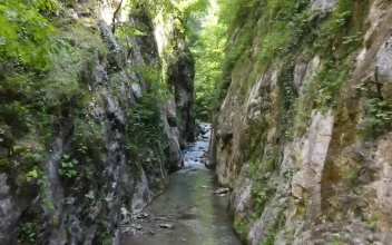 Stock Video Man Hiking In A Canyon With A Stream Animated Wallpaper