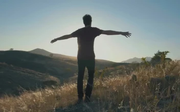 Stock Video Man Enjoying The Wind Animated Wallpaper