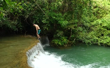 Stock Video Man Dives Into A Small Waterfall Animated Wallpaper