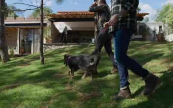 Stock Video Man And Woman Walking A Dog In A Garden Animated Wallpaper