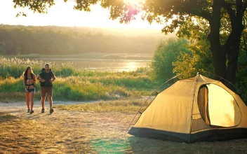 Stock Video Man And Woman Returning To Their Camp In Nature Animated Wallpaper