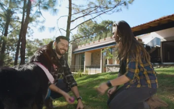 Stock Video Man And Woman Playing With A Dog In A Garden Animated Wallpaper