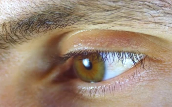 Stock Video Macro Shot Of A Human Eye Blinking Animated Wallpaper