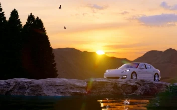 Stock Video Luxury Sports Car In Nature Animated Wallpaper